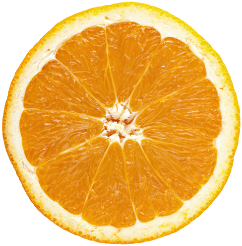 bitter orange half slice