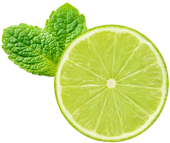 lime half slice and mint