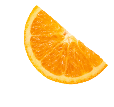 bitter orange slide segment 01