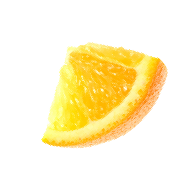 bitter orange slide segment 02