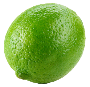 cool lime slide full 01