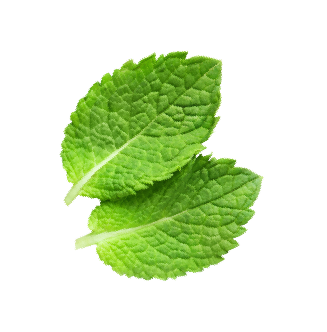 mint leaves cool lime slide 02