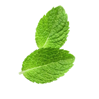 mint leaves cool lime slide 03