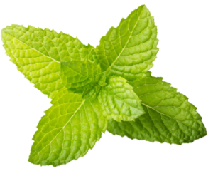 how to drink mint garnish